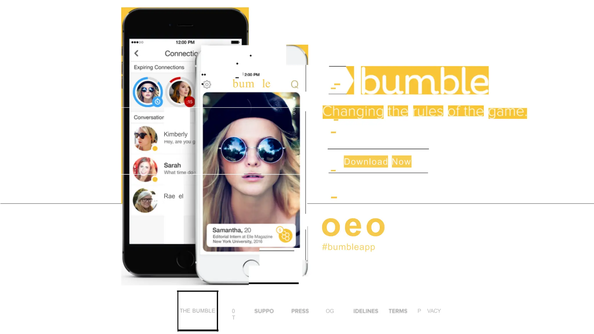 Bumble pitch deck slide 8