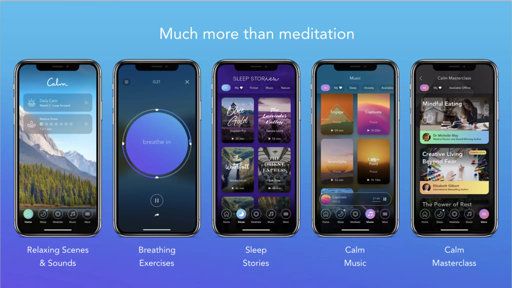 Calm pitch deck slide 10