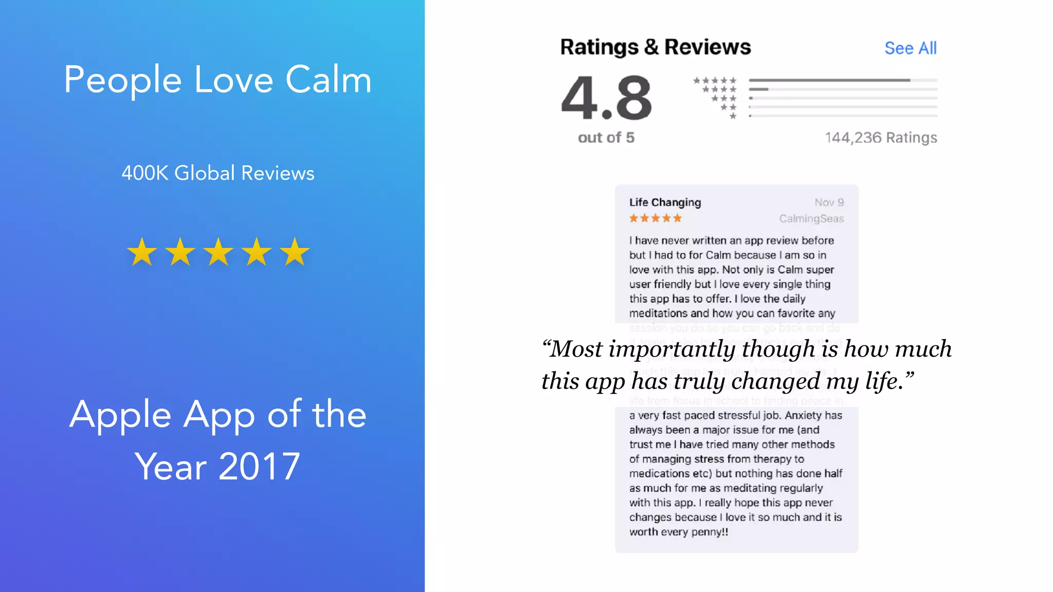 Calm pitch deck slide 11