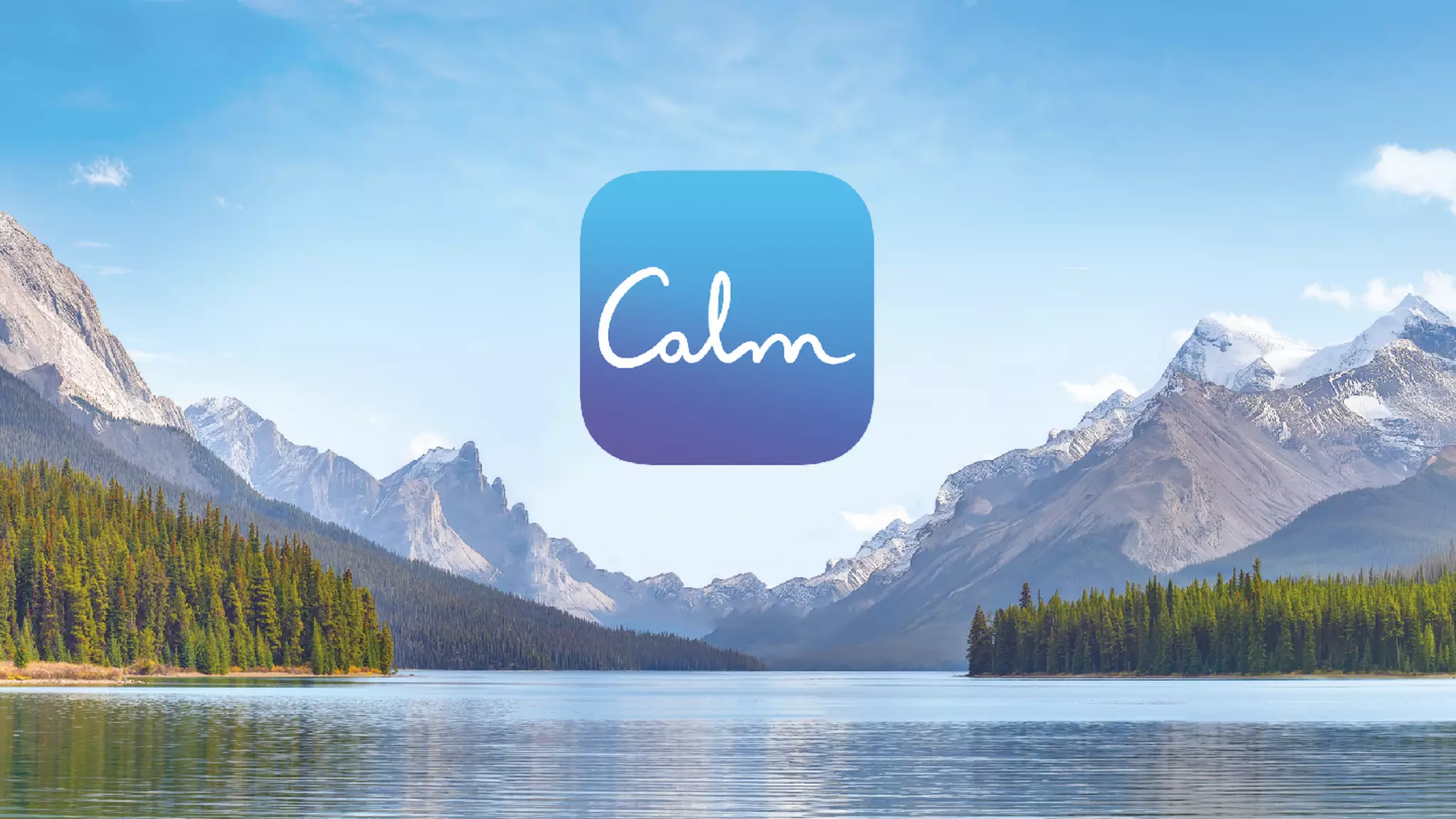 Calm pitch deck slide 19