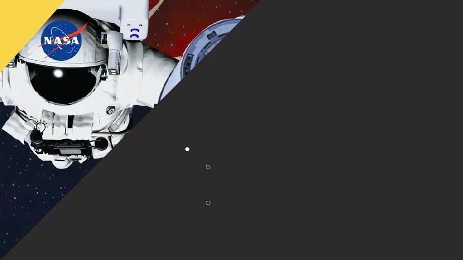 SpaceX pitch deck slide 6